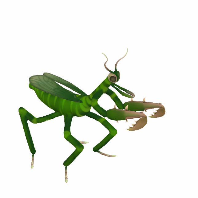 Praying Mantis Sculpture Staand Fotobeeldje (Voorkant)