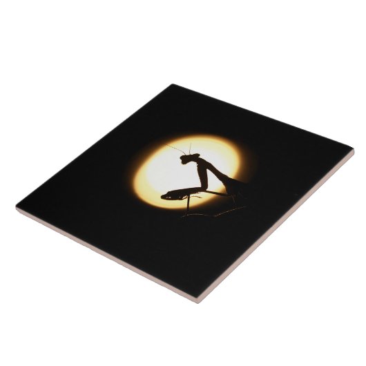 Praying Mantis Silhouette Tegeltje (Zijkant)