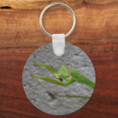 Praying Mantis sleutelhanger (Voorkant)