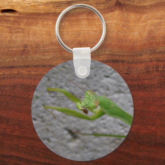 Praying Mantis sleutelhanger (Voorkant)