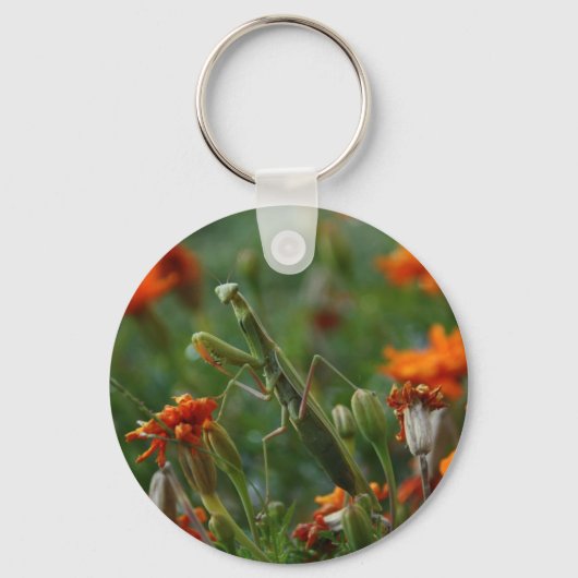 Praying Mantis Sleutelhanger (Voorkant)