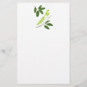 Praying Mantis Stationery Briefpapier (Voorkant)