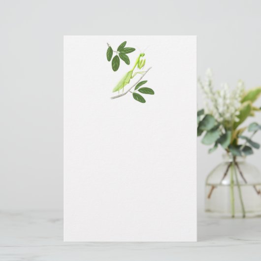 Praying Mantis Stationery Briefpapier (Staand voorkant)