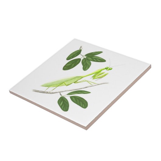 Praying Mantis Tile Tegeltje (Zijkant)