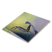 Praying Mantis Tile Tegeltje (Zijkant)