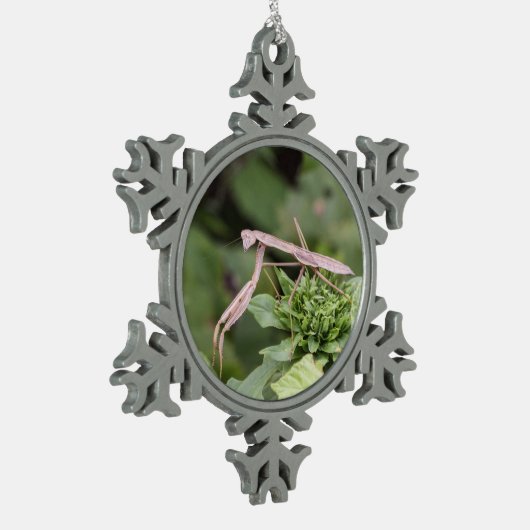 Praying Mantis Tin Sneeuwvlok Ornament (Links)