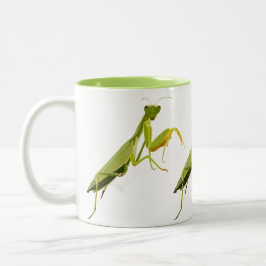Praying Mantis Tweekleurige Koffiemok (Links)