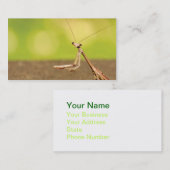 Praying Mantis Visitekaartje (Voorkant / Achterkant)