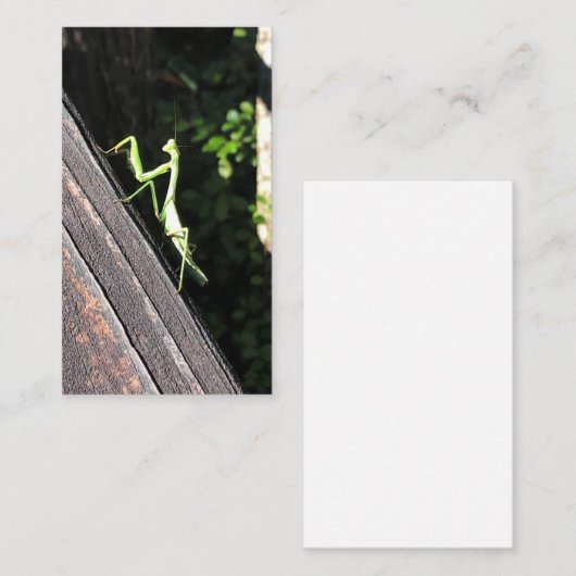 Praying Mantis Visitekaartje (Voorkant / Achterkant)
