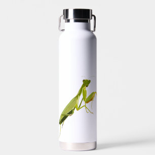 Praying Mantis Waterfles