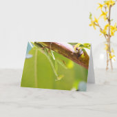 Praying Mantis Wenskaart Kaart (Gele Bloem)