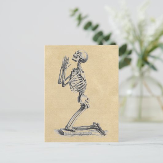Praying Skeleton Anatomy of the Botten Briefkaart (Staand voorkant)