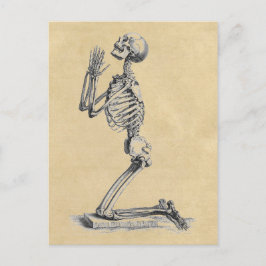 Praying Skeleton Anatomy of the Botten Briefkaart