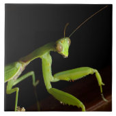 Praymantid Tegeltje (Voorkant)