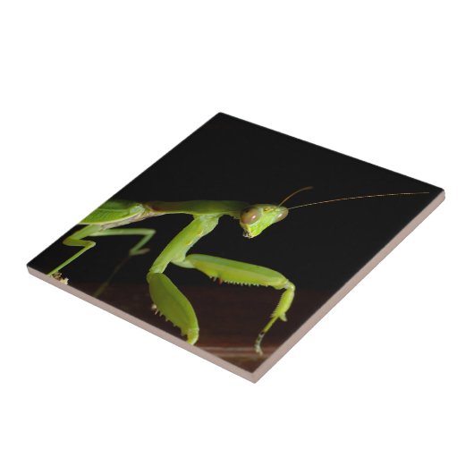 Praymantid Tegeltje (Zijkant)