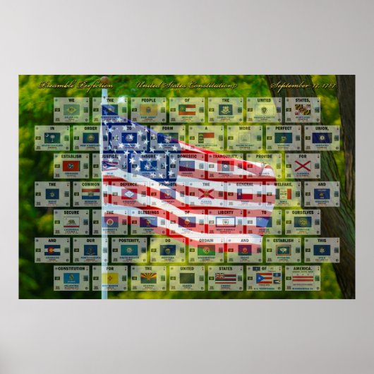 Preambule Perfection - Amerikaanse grondwet Poster (Voorkant)