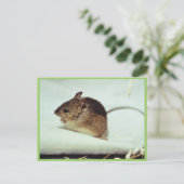 Prebles Meadow Jumping Mouse Briefkaart (Staand voorkant)