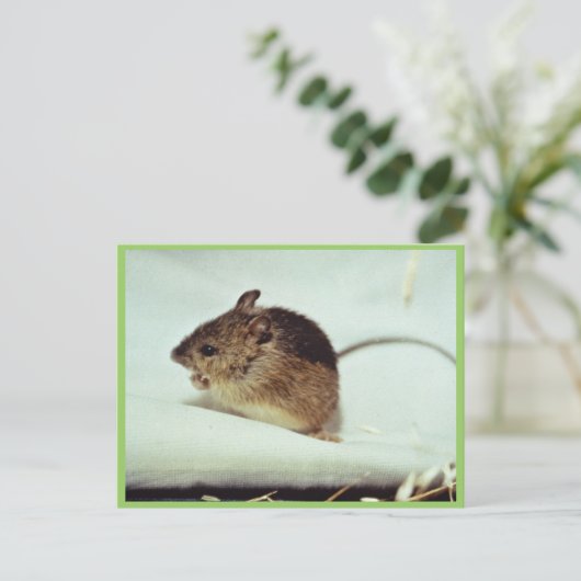 Prebles Meadow Jumping Mouse Briefkaart (Staand voorkant)