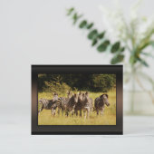 Precies bij U - zebras safari in het wild Briefkaart (Staand voorkant)