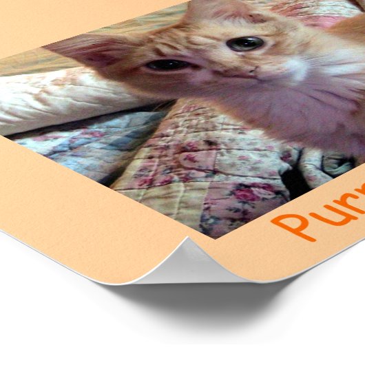 PRECIES SPINT-C Poster (Hoek)