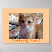 PRECIES SPINT-C Poster (Voorkant)