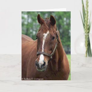 Precies zo portret kaart