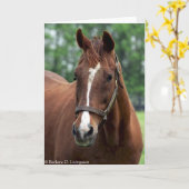 Precies zo'n portret kaart (Gele Bloem)