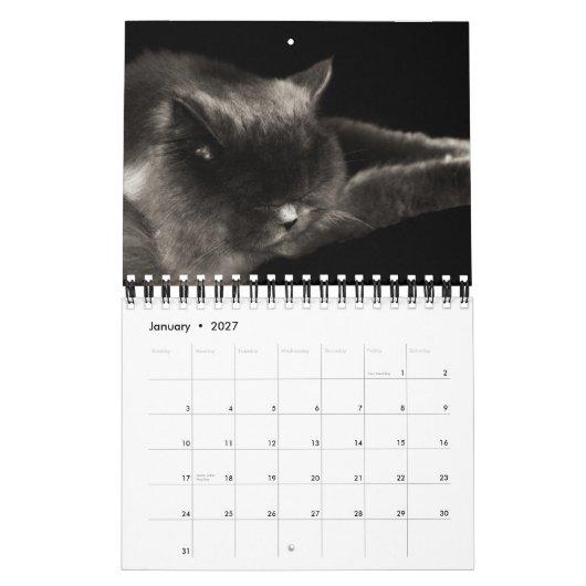 Precieuze kat 2012-agenda kalender (Jan 2027)