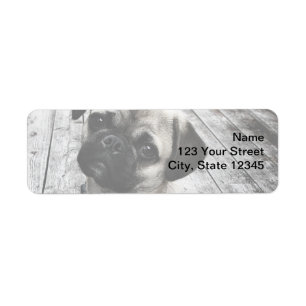 Precieuze puppy in zwart-wit etiket