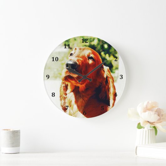 Precious Irish Setter Puppy Grote Klok (Huis)