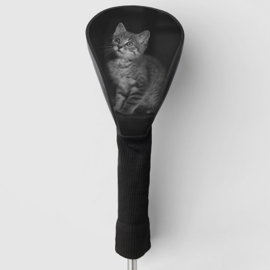 Precious Kitten Golfheadcover (Voorkant)