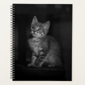 Precious Kitten Planner (Voorkant)