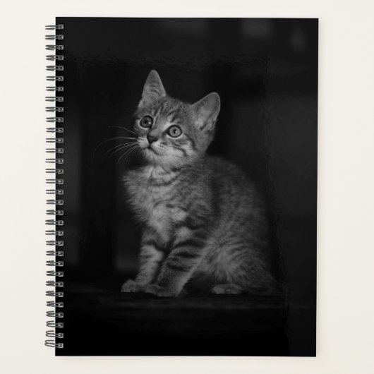 Precious Kitten Planner (Voorkant)