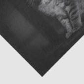 Precious Kitten Tissuepapier (Detail)