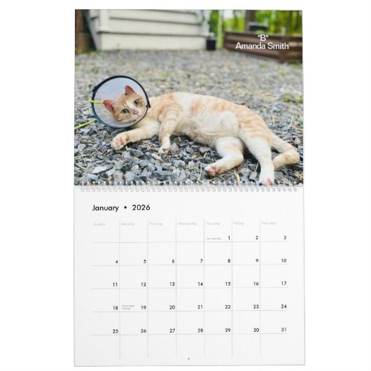 .Precious Paws 2025 Kalender. Kalender (Jan 2026)