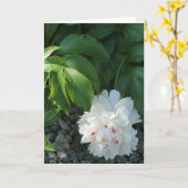 Precious Peony Blank Greet/of Note Card Kaart (Gele Bloem)