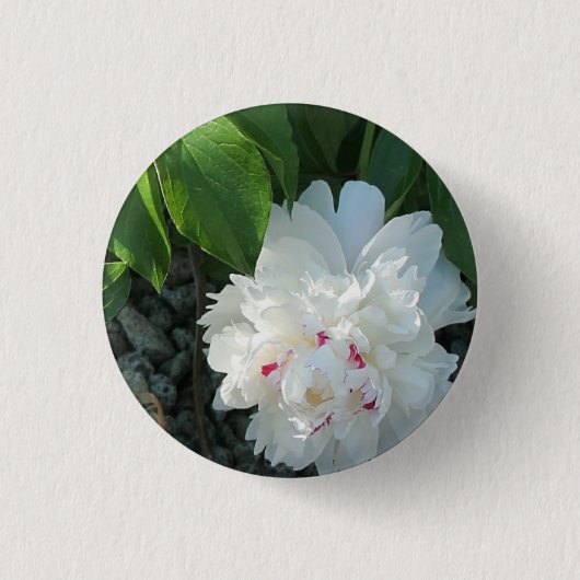 Precious Peony Button (Voorkant)