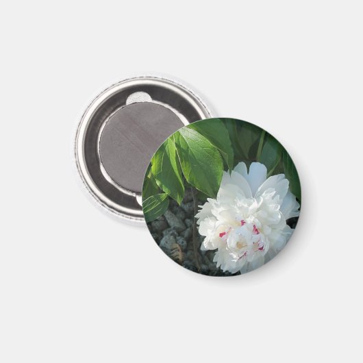 Precious Peony Magnet (Voorkant / Achterkant)