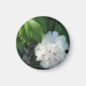 Precious Peony Magnet (Voorkant)