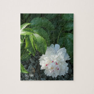 Precious Peony Puzzle Legpuzzel
