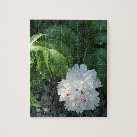 Precious Peony Puzzle Legpuzzel (Verticaal)