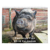 Precious Pigs 2016 Calendar Kalender (Hoes)