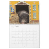 Precious Pigs 2016 Calendar Kalender (Mar 2027)