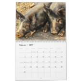 Precious Pigs 2016 Calendar Kalender (Feb 2027)