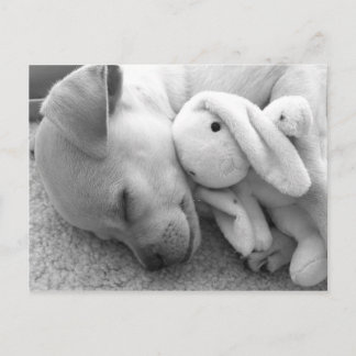 PRECIOUS PUPPY MOMENT BRIEFKAART