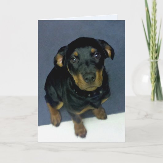 Precious Rottweiler Puppy Blank Wenskaart Kaart (Voorkant)