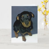 Precious Rottweiler Puppy Blank Wenskaart Kaart (Gele Bloem)