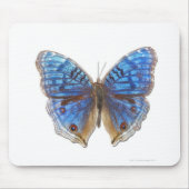 Precis rahadama muismat (Voorkant)