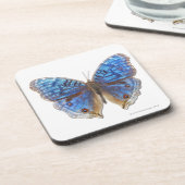 Precis rhadama bier onderzetter (Linkerzijde)