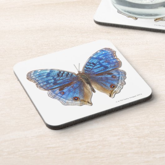 Precis rhadama bier onderzetter (Linkerzijde)